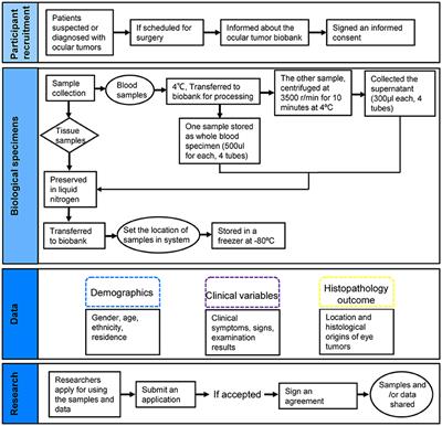 The Xiangya Ocular Tumor Bank: A Disease-Specific Biobank for Advancing Translational Research Into Ocular Tumors